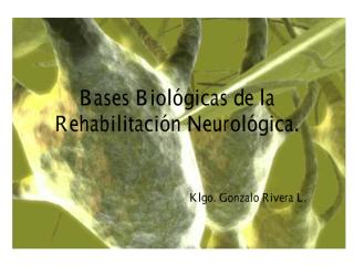 Bases_BiológicasC.pdf