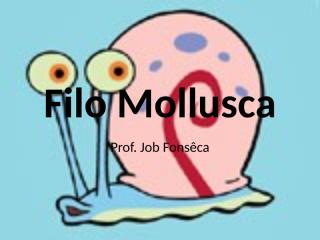 Filo Mollusca.pptx